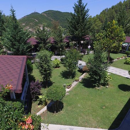 Hotel Elvis Mjull-Bathore Экстерьер фото